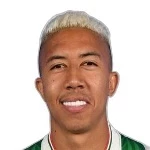 萨尔达尼亚